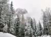 Telling the Italian Dolomites through a video