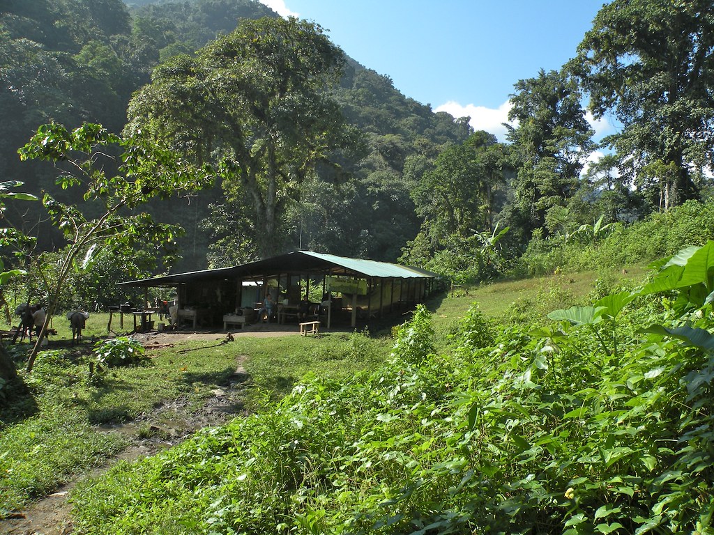 ciudad perdida colombia base camp