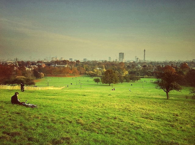 Primrose Hill (photo by Mike Rolls)
