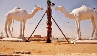 Western Sahara - Morocco