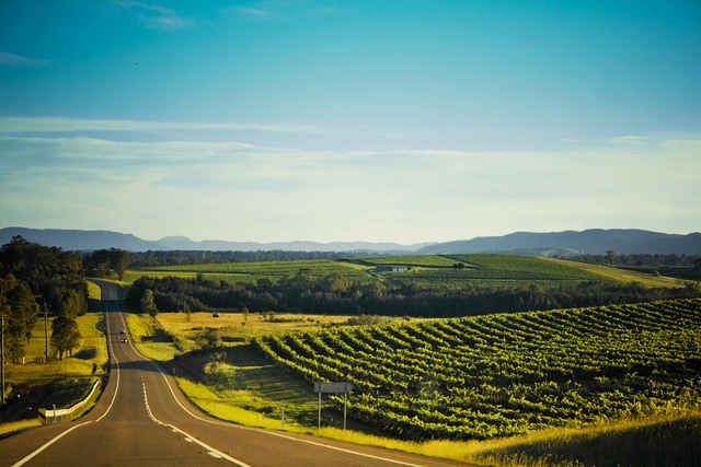Vineyards - Australia