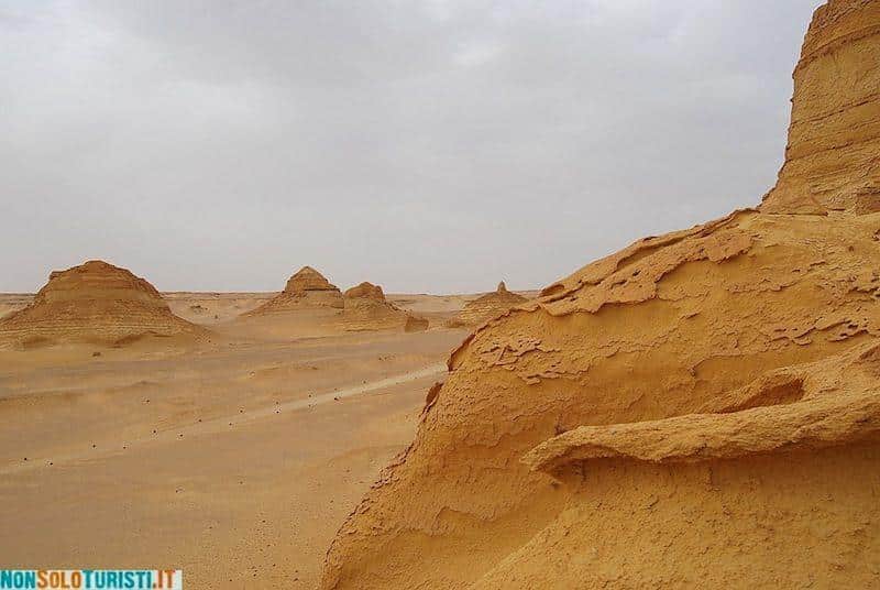 Whales Valley - Egypt