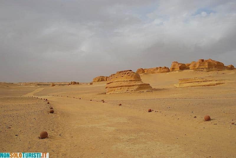 Wadi el Hitan, Egypt