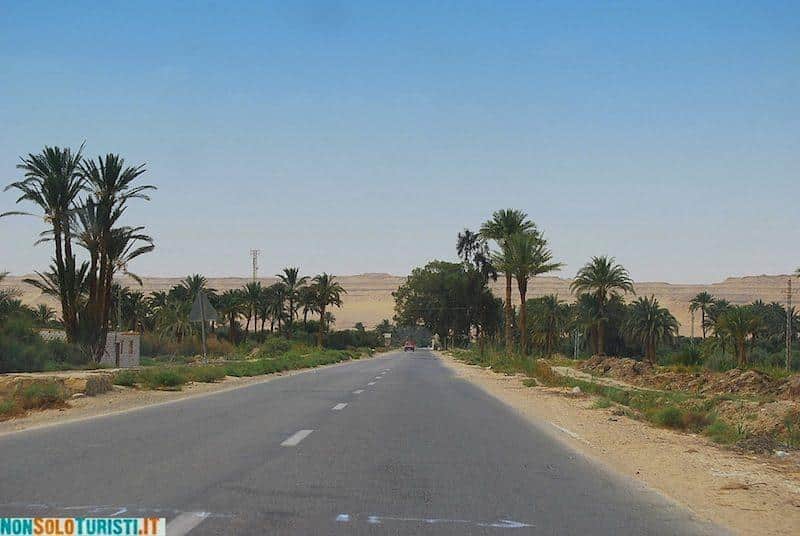 Wadi el Rayan - Egypt