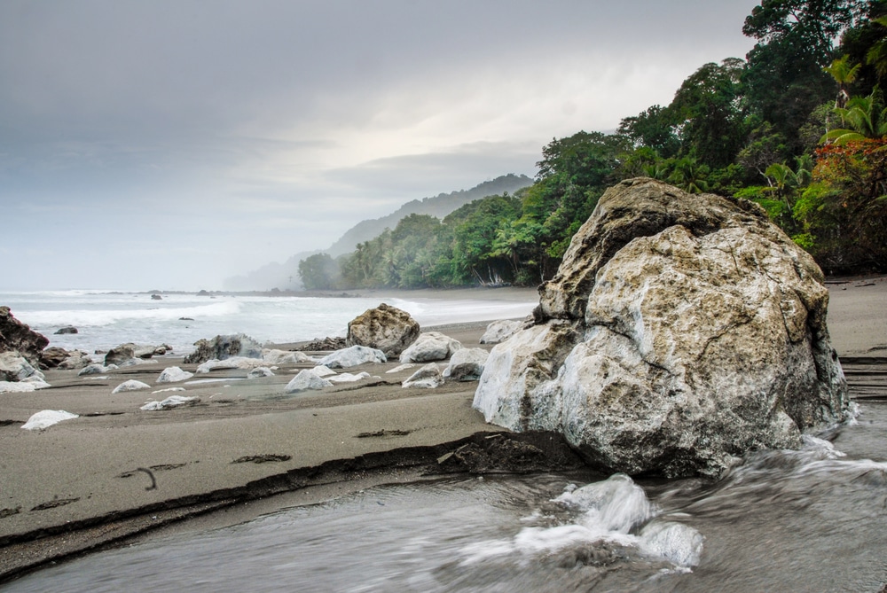 Trekking in Corcovado National Park Costa Rica's Wildest Trek