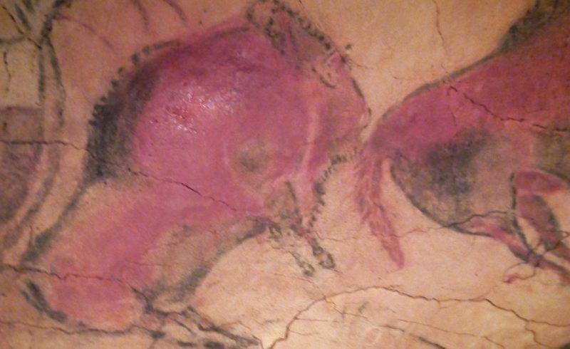 One of the many paintings in the Altamira caves