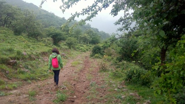 Walking along the Camino Lebaniego, it is easy to see why Cantabria is considered the greenest region in Spain