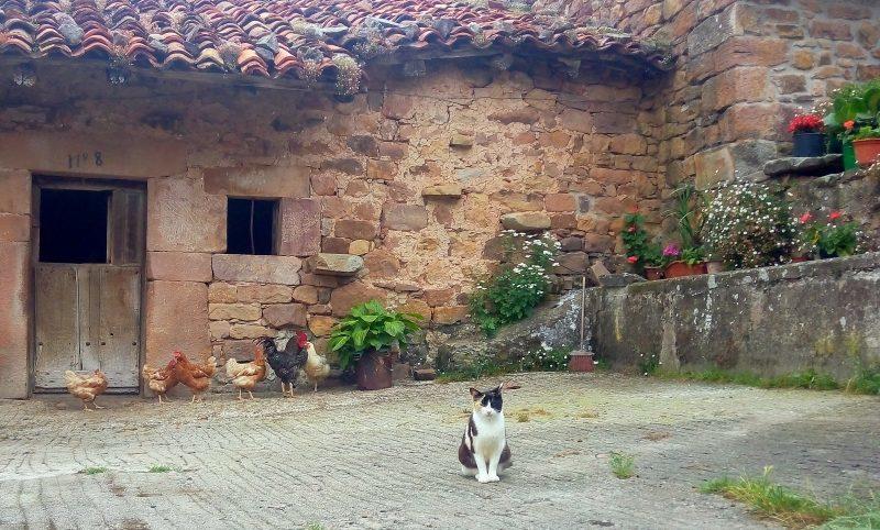 This is the kind of sight one gets in a Cantabrian village. Isn't it lovely?