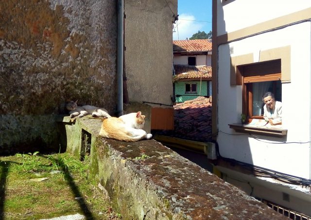 Locals and their cats in Cudillero