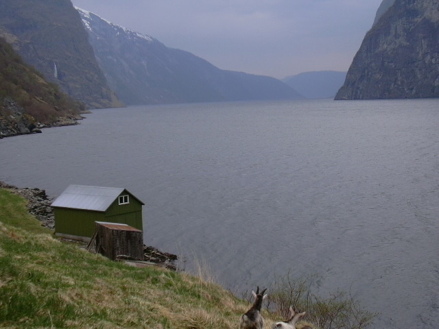01 Fjord view 1