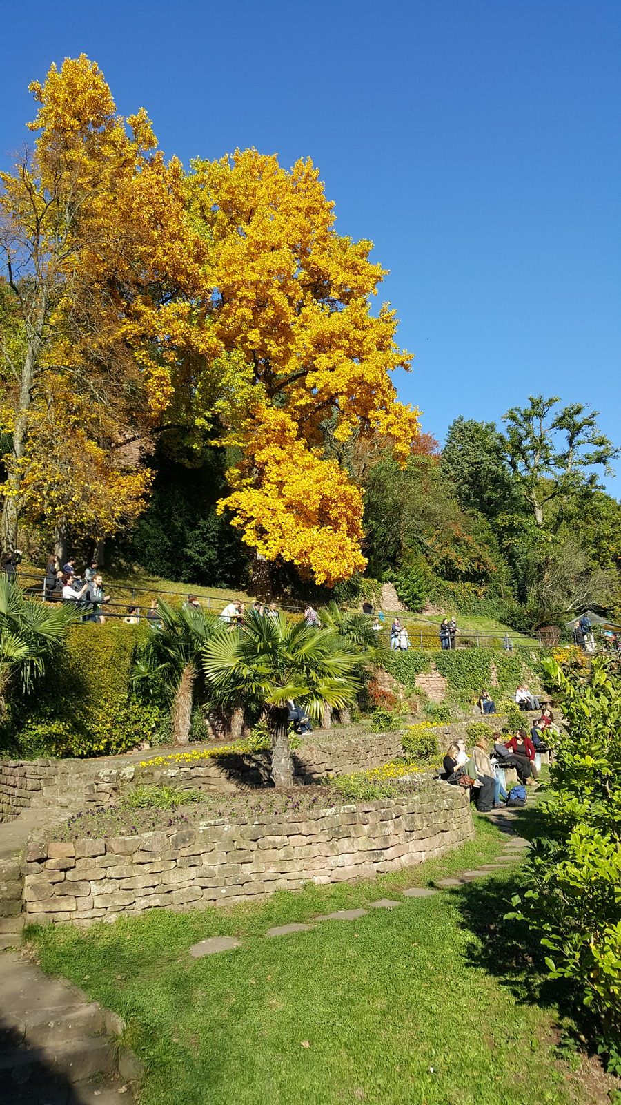 Heidelberg garden