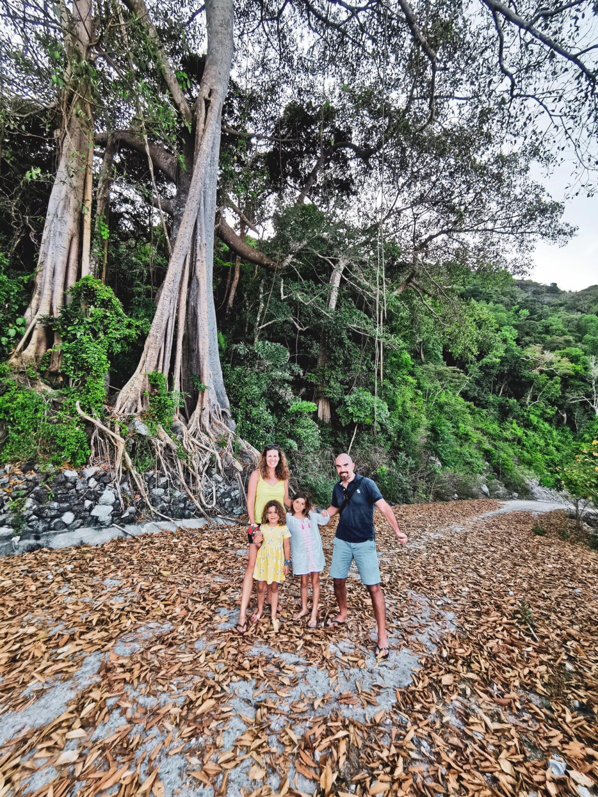 Cham Islands with Children banyard tree