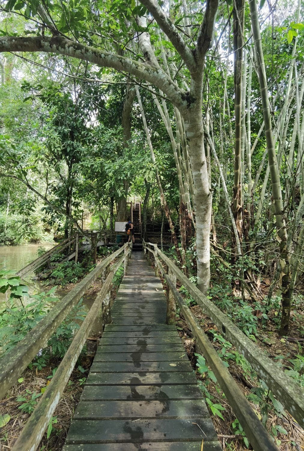 Estância Mimosa water falls