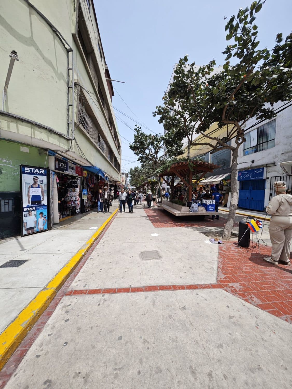 Magdalena Market Lima