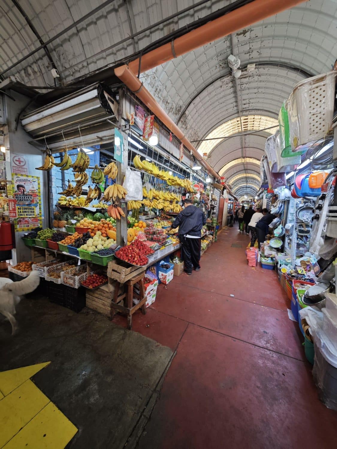 Magdalena Market Lima