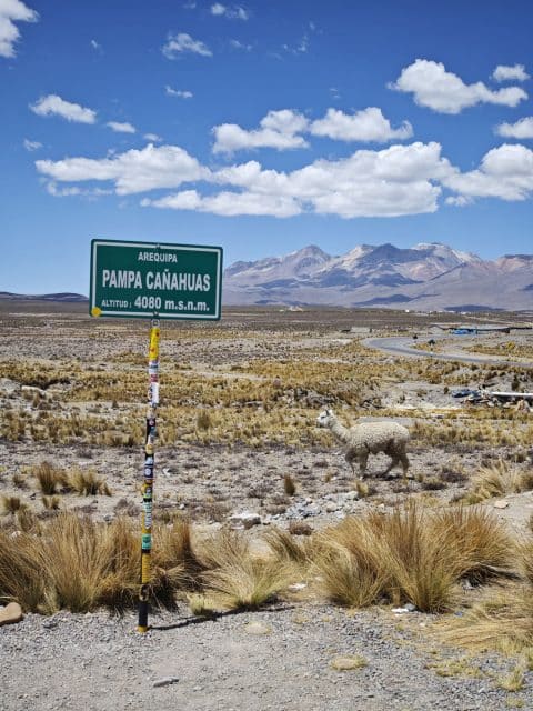 Plateau Pampa Cañahuas Peru