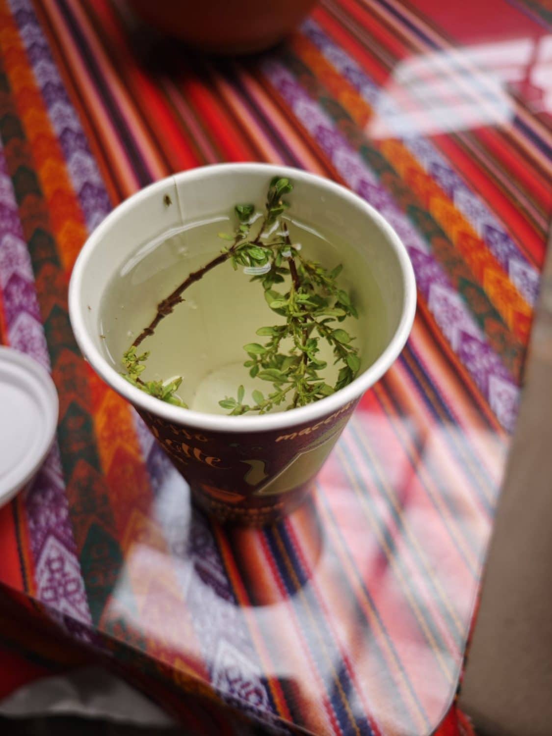 Tea at Plateau Pampa Cañahuas Peru