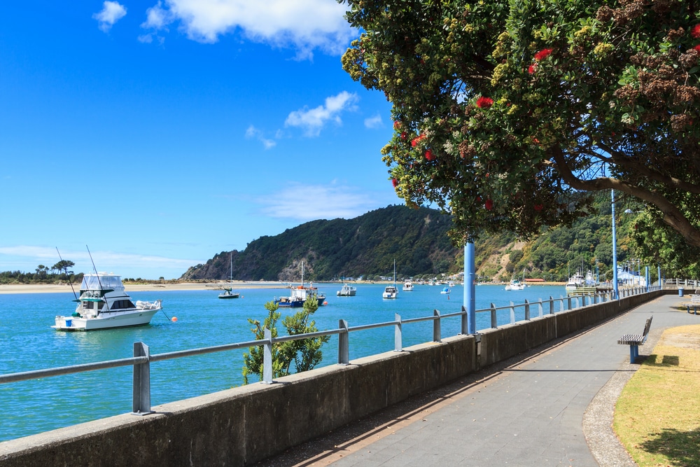 Whakatane on of the charming towns in New Zealand