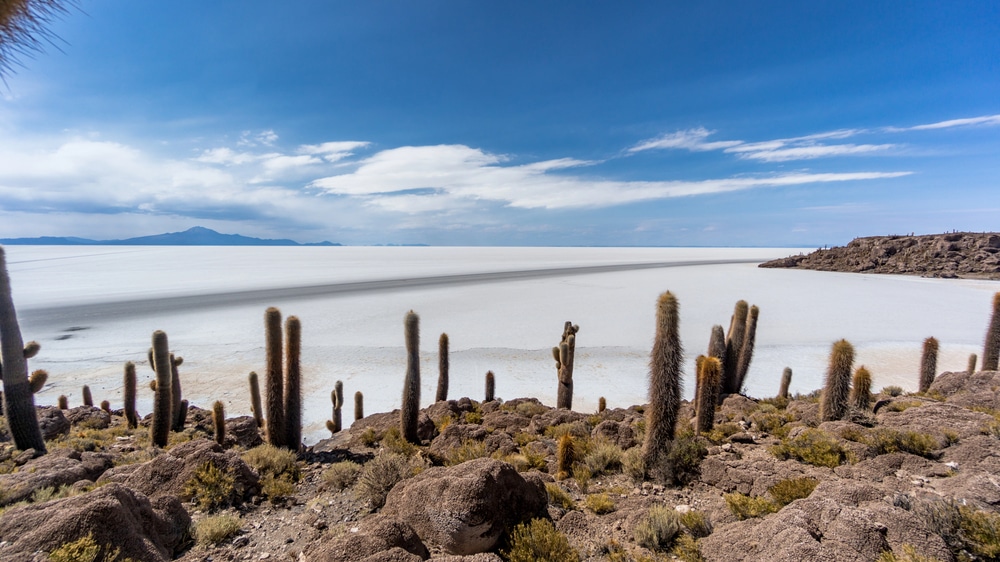 Isla Incahuasi