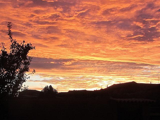 Camino de Santiago_Francia_Lynn Wilbur