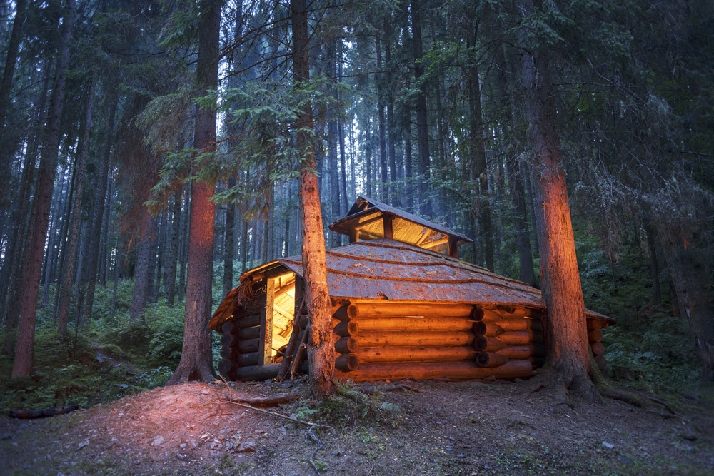 log cabin in the middle of the woods