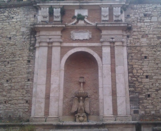 pic 11